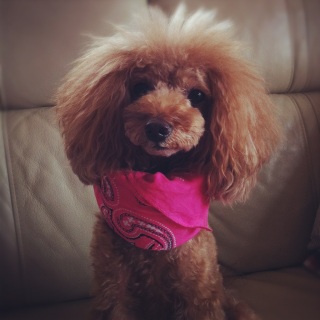�q������