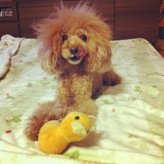 �s��������