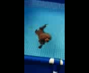 �v�[��