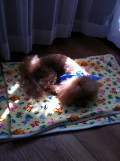 zzZ�B�B�B