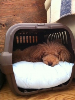 zzZ�B�B�B