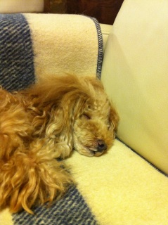 zzZ�B�B�B