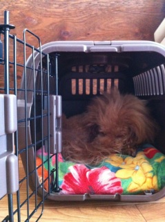 zzZ�B�B�B