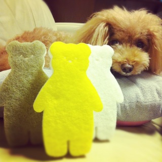sponge