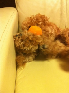 �ǂ��Ȃ��Ă�́H