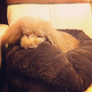 zzZ�B�B�B