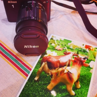 Nikon 1 J3