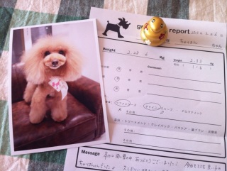 grooming report