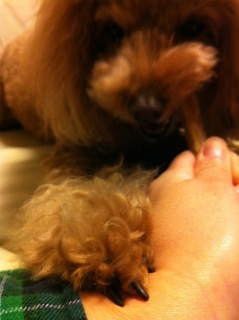 ��