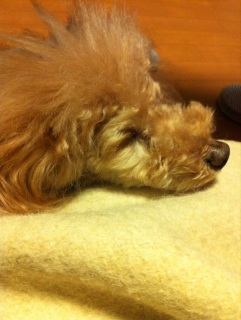 zzZ�B�B�B