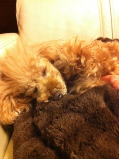 zzZ�B�B�B