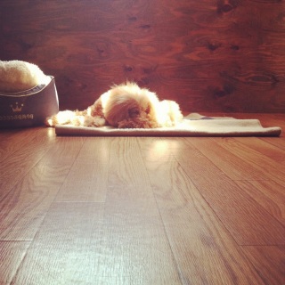 zzZ�B�B�B