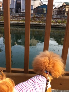 �J������