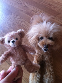Duffy