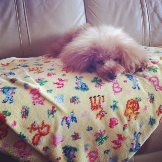 ���₷��zzZ