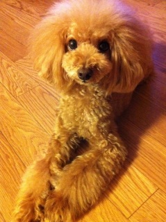 Sunday