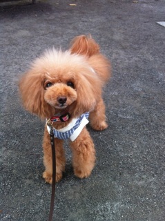 �ɂ�́`��