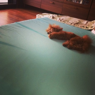 �~�J����