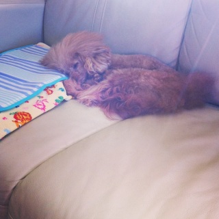 zzZ�B�B�B
