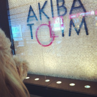 AKIBA