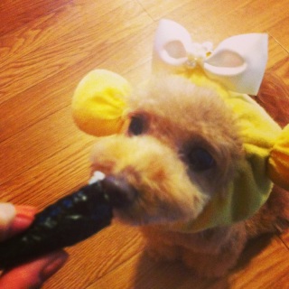 �b�������`