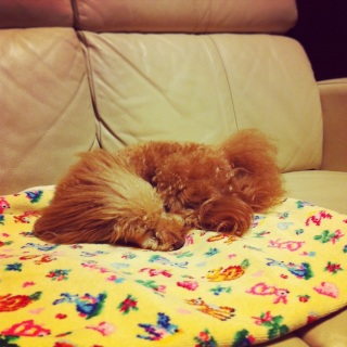 zzZ�B�B�B