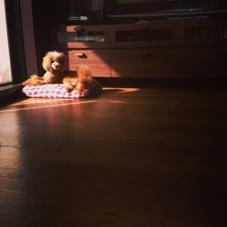 �r���[�r���[