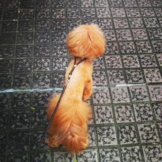 �䂤���