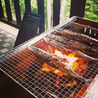 �T���}