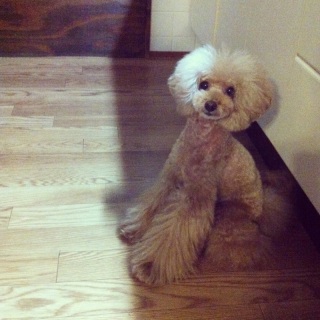 �j�����