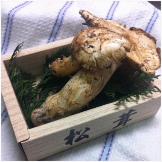 �H�̖��o