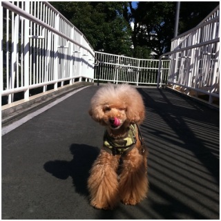 �y������
