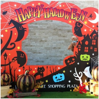 Happy Halloween