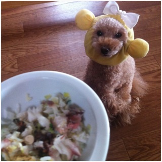 ����[���񂲔�