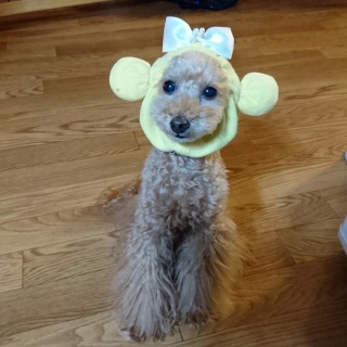 ��������H