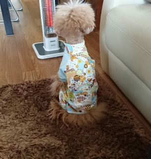 ������Ȃ�