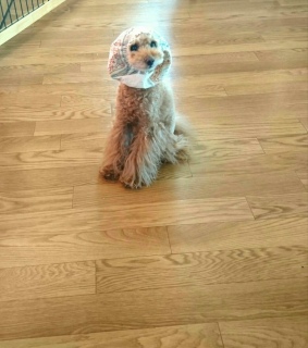 �҂v�[�h��