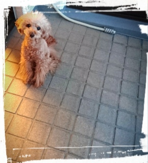 �x�����_