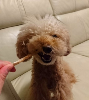 �J�~�J�~