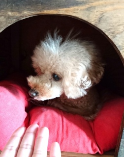 �s������[