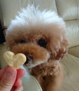 �́[��