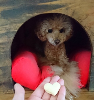 �I���c