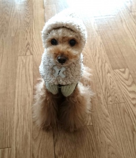 �s����[