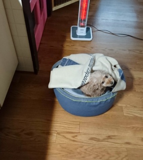 �ē�