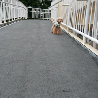�䂤���