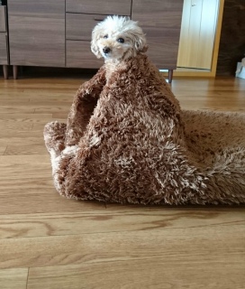 �����I