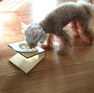����[���񂲔�