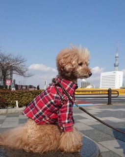 �y����������