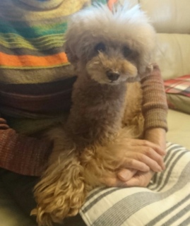 �����[�[�[�b