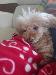 �˂ނ˂�